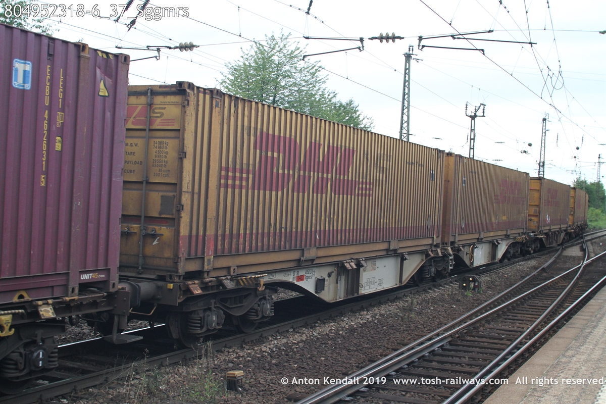 804952318-6_37_Sggmrs.JPG